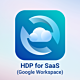 HDP for SaaS (Google Workspace)